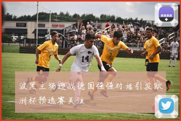 波黑主场迎战德国强强对话引发欧洲杯预选赛关注