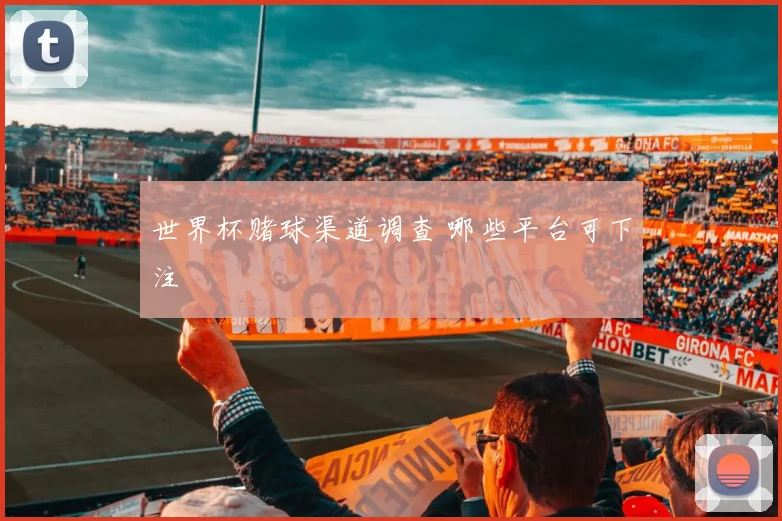世界杯赌球渠道调查 哪些平台可下注