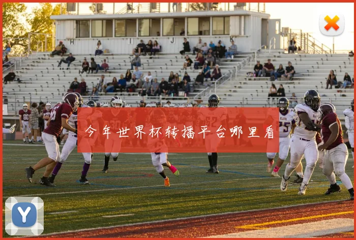 今年世界杯转播平台哪里看