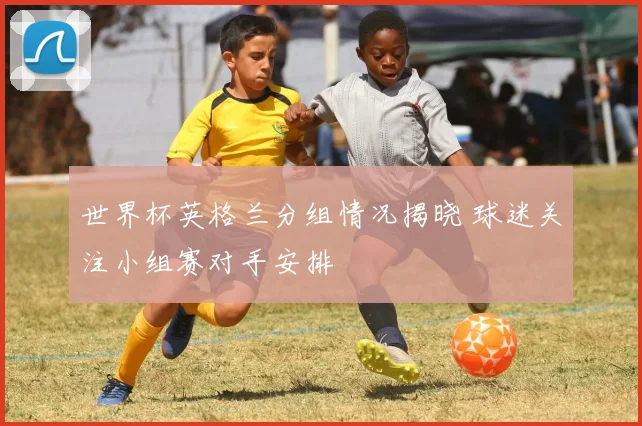 世界杯英格兰分组情况揭晓 球迷关注小组赛对手安排