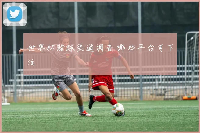 世界杯赌球渠道调查 哪些平台可下注