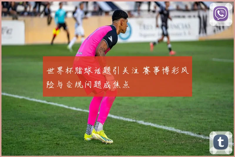世界杯赌球话题引关注 赛事博彩风险与合规问题成焦点