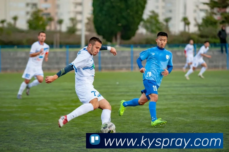 问鼎在线登录入口发展历程